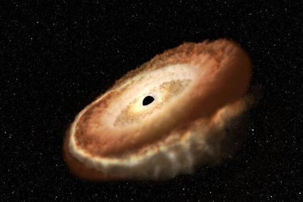 کشف سیاهچاله گرسنه ای که در حال تبدیل کردن یک ستاره به دونات است